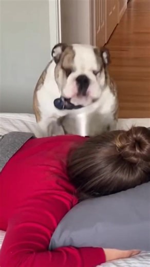 Wake Up Routine for a Productive Day