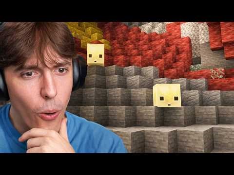 DrDonut Reacts to Minecraft's NEW UPDATE