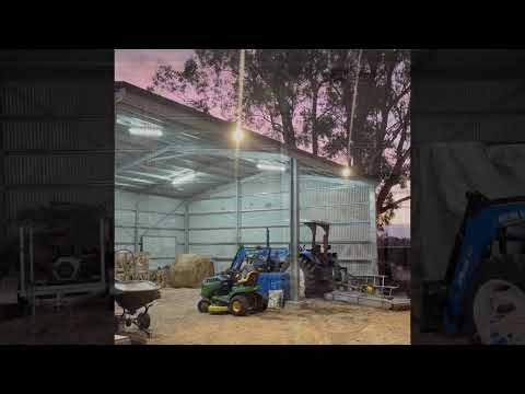 Case study. How to keep birds out of your shed.