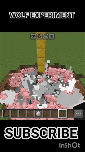 wolf experiment SUBSCRIBE TO THE CHANNEL