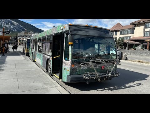 Public Transit in Banff