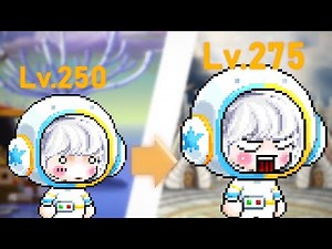 Adele Training Guide 250 - 275