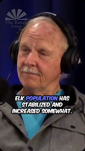 The Ranch Podcast on Instagram: "When wolves were re-introduced to Yellowstone National Park in the mid 90s, there were roughly 20,000 elk. In a matter of roughly 18 years** (not three years, though there was a huge drop from 1995-1998), that population dropped down to around 5,000. Since then, the population has actually increased a bit, with the summer ranging numbers between 10,000-20,000 and winter range numbers around 4,000 because elk winter in lower elevations. Those numbers are directly