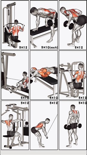 Full Back Workout Plan – Build a Stronger, Wider Back