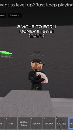2 Easy Ways to Earn Money in SW2