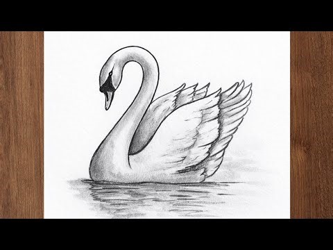 Very Simple and Easy Swan Drawing ||Easy Step by Step Pencil Sketch for Beginners