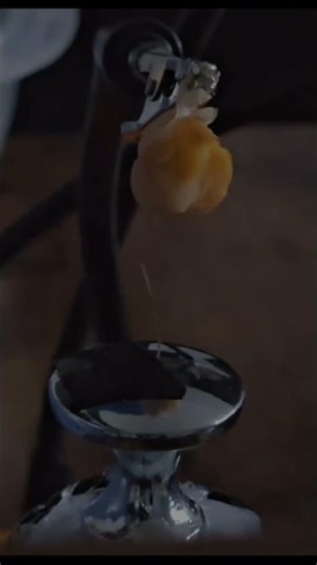 PLASMA COOKING a chickpea time-lapse #teslacoil