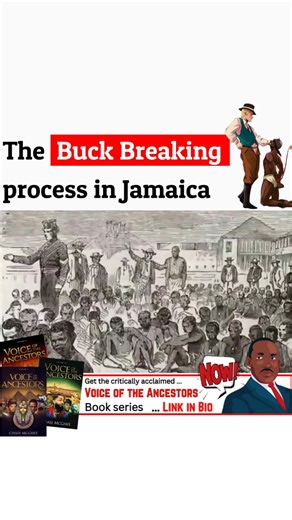 7.2K views · 244 reactions | (Save this) The Buck Breaking process in Jamaica ... Comment "eBook" to get instant access to our critically acclaimed Voice of the Ancestors Vol. I. That includes over 220 pages of Jaw dropping Black History Facts and Information, from over 150 carefully cited sources. | Voice of the Ancestors | Facebook