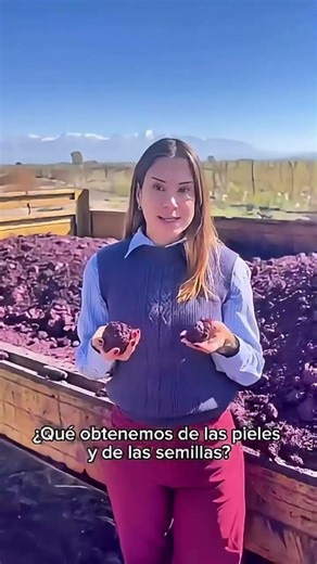 Ciclo natural da viticultura #vinhedo #fincapropiabrasil #wine #winelover