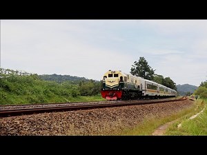 Morning Railfanning, Chasing The Beautiful Trains | railfanning 2022