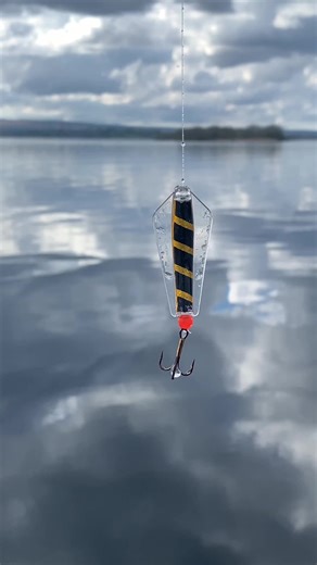 Tasmanian Devil Trout Fishing in Ireland