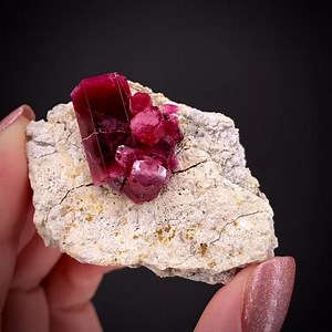 Red Beryl - Wah Wah Mountains, Utah, USA 💎 SHOP iRocks.com V21-1081 https://www.irocks.com/minerals/specimen/49317 This is a very significant and absolutely breathtaking crystal cluster of gemmy, intensely saturated Red Beryl on rhyolite matrix from Utah. One large, very gemmy crystal and six smaller ones make up the cluster and there is one small, nearby outlier. The big, lustrous, deep gooseberry red crystal measures 1.9 x 1.1 x 0.6 cm, and is complete and mostly gem with terminations that ju