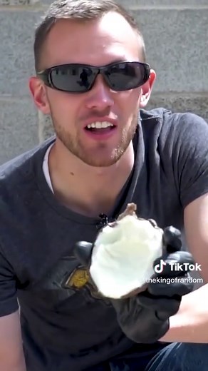 The King of Random (@thekingofrandom)’s videos with original sound - The King of Random