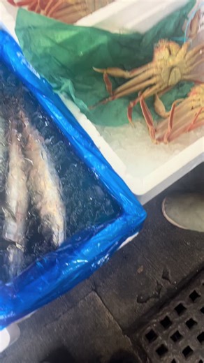 ズワイガニの食べ方と魅力
