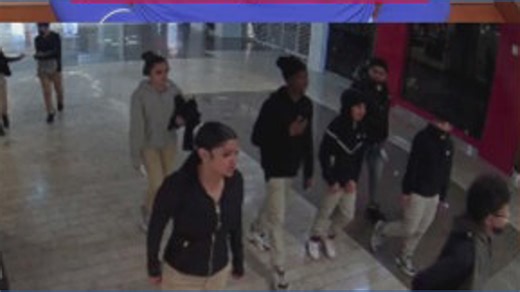 Teens who allegedly jumped victim caught on camera at Wheaton Mall