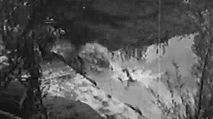 Her First Romance (1940) Edith Fellows, Wilbur Evans, Julie Bishop, Allan Ladd