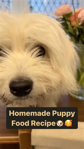 15K views · 43 reactions | Comment “PUPPY” to get the full recipe 殺...