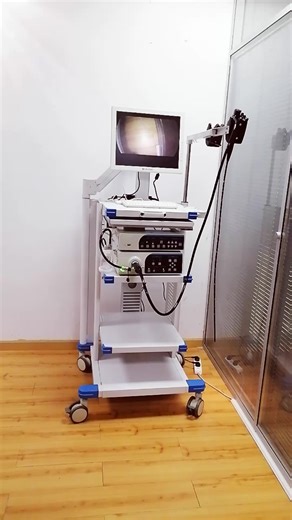 Gastroscopy Colonoscopy Hospital Medical Endoscope Camera System Flexible Video Gastroscope and Colonoscope