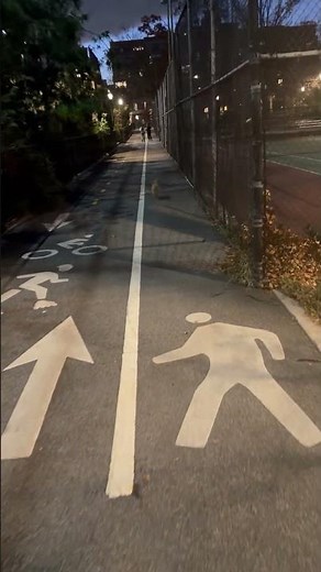 Friendly Toy Poodle Just Wanted to Make Friends || ViralHog