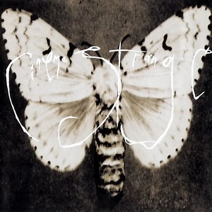 Cinema Strange - Cinema Strange