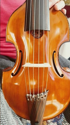 The smallest and brightest viola da gamba: Viola da Gamba Instrument Pardessus de viole Shorts #vlog