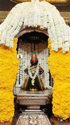 विठ्ठल माऊली #youtubeshorts #reels #trendingshorts #shortsfeed #trending #shorts