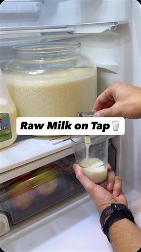 Fresh raw milk on tap🥛 This is a cool little hack you can use to get a lower-calorie option for your drinks or smoothies, or just skim the cream off the top for desserts and coffee ☕️ The benefits raw milk provides over pasteurized milk are extensive, despite what conventional authorities have said👇🏽 Raw milk, still rich in probiotics, enzymes, immunoglobulins, transcription factors, microRNAs, other immune-boosting factors, and several vitamins and minerals, are all things pasteurized milk h