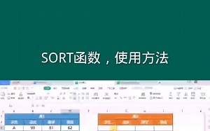 SORT函数，使用方法 #office办公技巧 #Excel #excel技巧