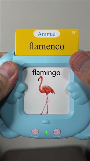 Toys for Learning the Spanish and English words of the Animals Sounds Flamingo