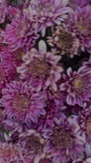 Who else is ready to start seeding and planting ?#livelifewild #InheritedHomestead #RestorationJourney #GenerationalHomestead