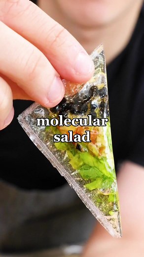Molecular Salad: Crafting Culinary Science Delights
