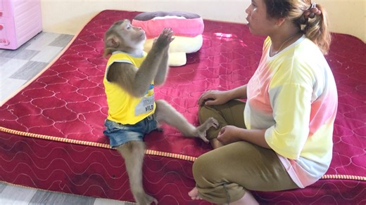 15K views · 1.1K reactions | Handsome Jason Iconic Salute Upset That Mom Tell To Sorry | Monkey Jason | Facebook