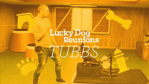 3.6K views · 534 reactions | We're wagging our tails with excitement for this weekend's episode of Lucky Dog: Reunions with Tubbs! 論 | Lucky Dog | Facebook