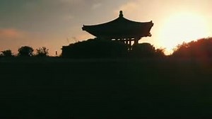 That moment where the #seacoast and #kiteflying are perfectly capture together  A shout out to @olegend_ for this video, feat. one of our #turtle kites > BrainstormProducts.com #turtles #tortugas #kite #beach #drone #tuesday #outdoorsactivities | X Kites | Facebook