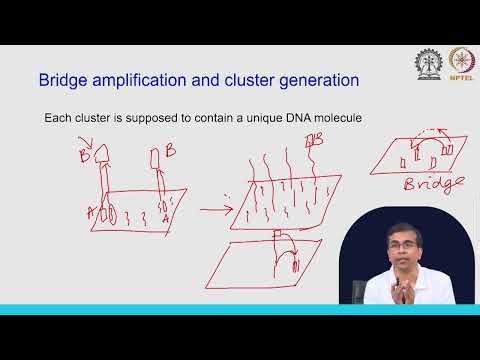 Lecture 03: Illumina Sequencing By Synthesis (SBS) #swayamprabha #CH31SP
