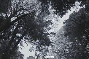 Winter Wallpaper Videos, Download The BEST Free 4k Stock Video Footage & Winter Wallpaper HD Video Clips