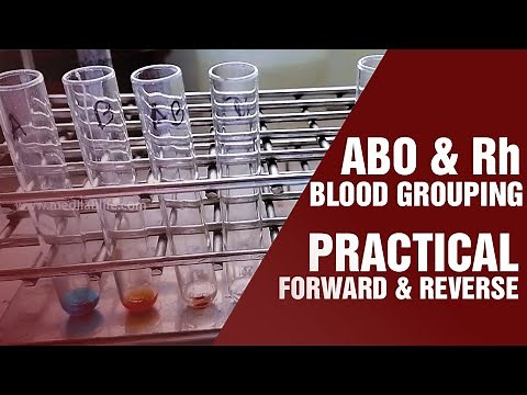 Blood Grouping Test | Principle and procedure | Cell Grouping | Serum Grouping