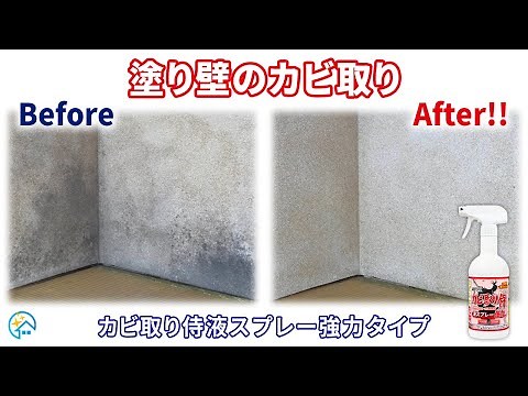 漆喰・珪藻土・砂壁のカビ取り方法！和室の塗り壁に隠れて繁殖していた黒カビをカビ取り侍液スプレー強力タイプで綺麗に除去・消臭！落とし方を解説／カビ取り防カビ対策施工の純閃堂ハウスクリーニング
