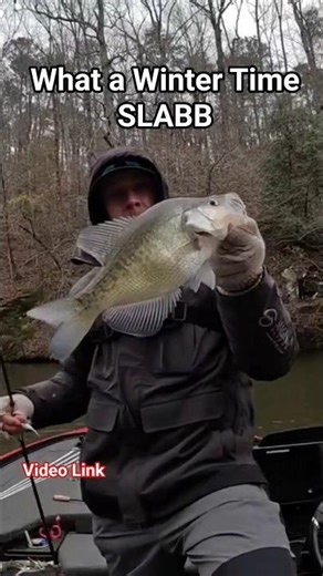 Catch More Crappie this Winter! #fishing #crappie #crappiefishing #fun