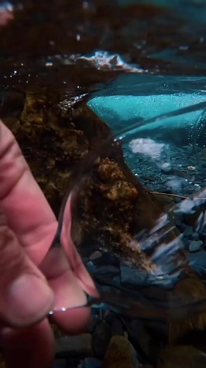 #salsaromantica #parati #venezuela🇻🇪 #lalorodriguez