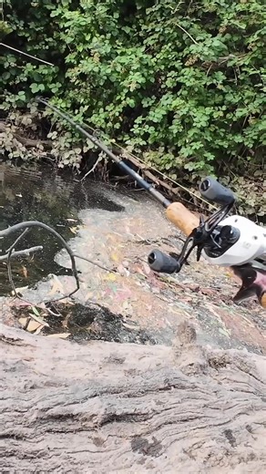 Frogging Techniques for Catching Murray Cod