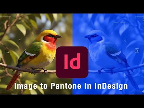 Convert Any Image to a Single Color or Pantone in InDesign - Quick Tutorial!