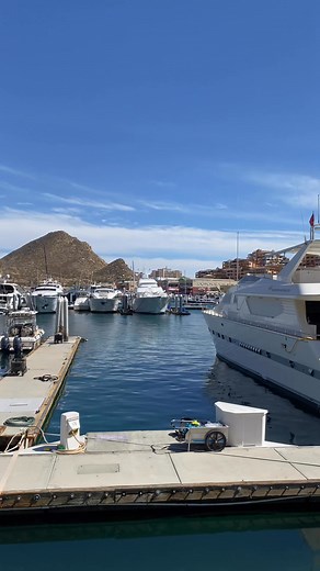 14K views · 329 reactions | Marina de Cabo San Lucas ️ #loscabos #cabo #viaje #playa #vacaciones #cabosanlucas | Good Trip CABO | Facebook