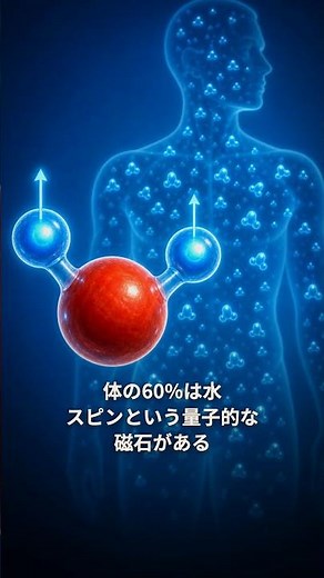 MRIが体の内側を映す理由——地磁気の3万倍で体内スピンが電波を歌う｜30秒物理