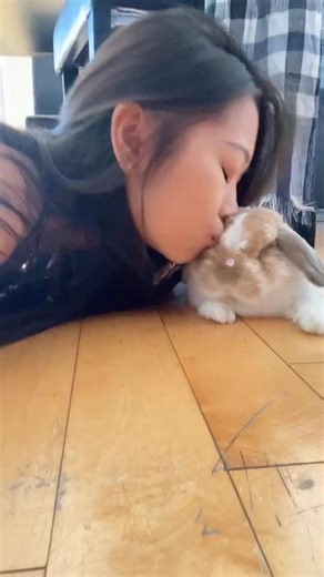 Adorable Bunny Kisses Human Compilation