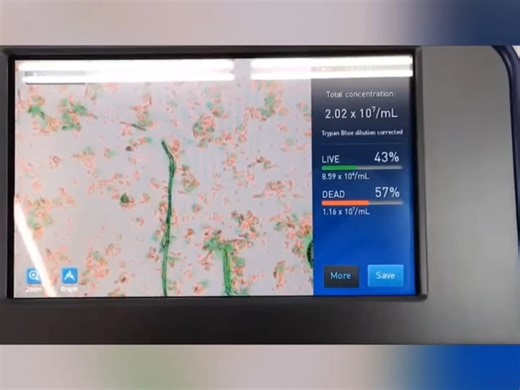 赛默飞全自动细胞计数系统Countess3