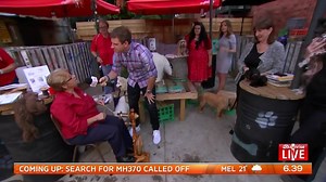 29K views · 126 reactions | Sam Mac at the dog cafe is everything. He makes a really valid point that although the cafe is dog orientated, humans are still allowed. It doesn't always work the other way around though. Some food for thought!  | Sunrise | Facebook