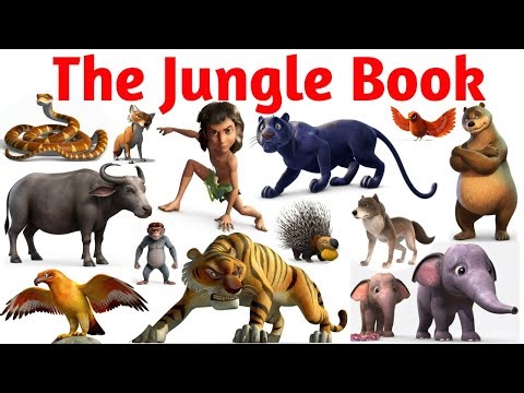 The Jungle Book Characters Names | जंगल बुक कैरेक्टर्स Jungle Book Characters in English and Hindi |