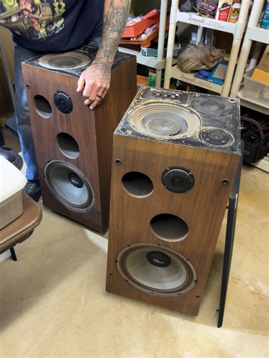 Revitalize Your Audio Experience with Ohm Speakers