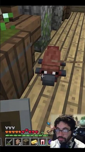 A Platypus? Perry the Platypus in Minecraft?!?